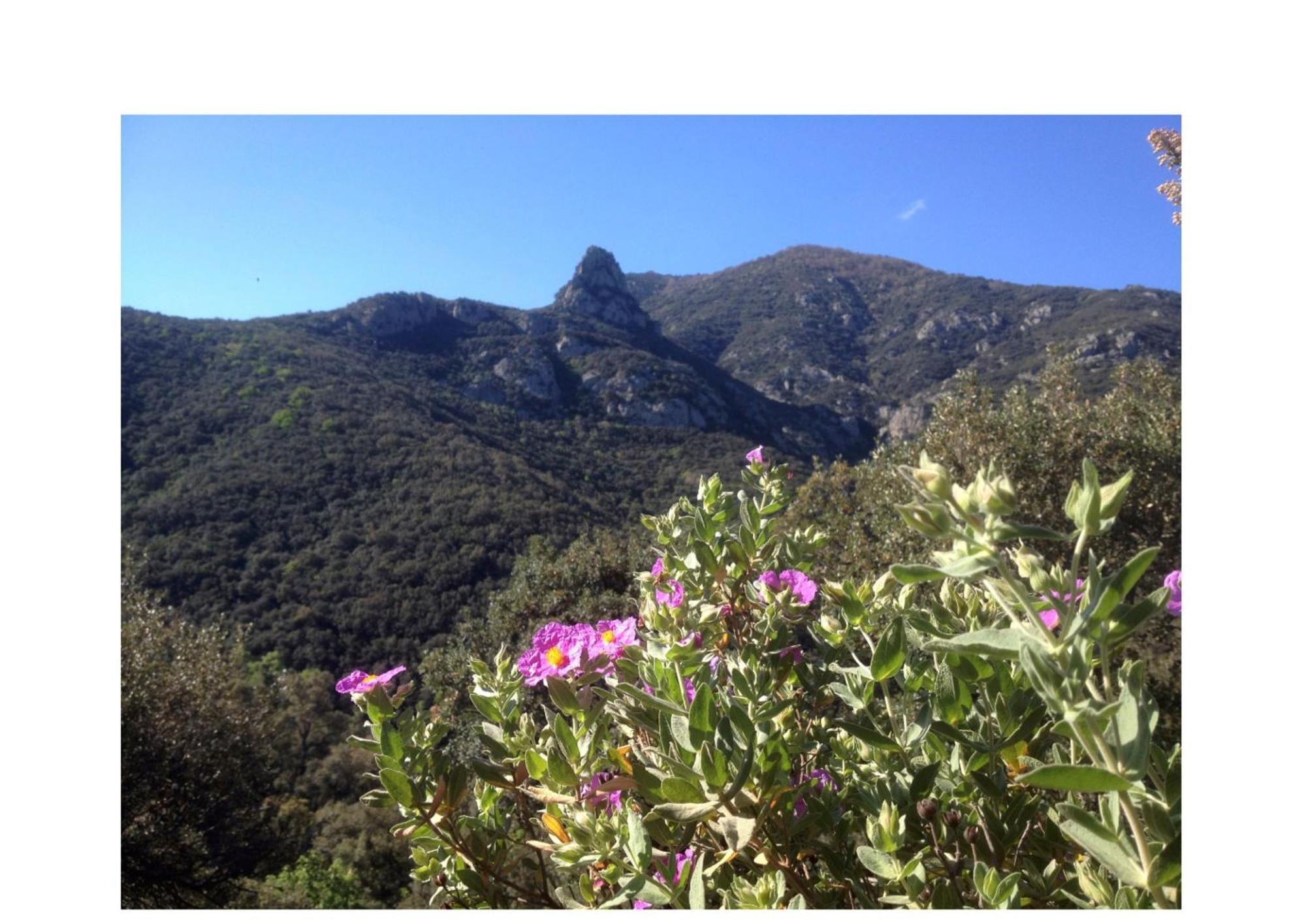 L'Abri La Vall Sorède Exterior foto